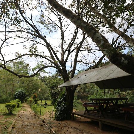 360 Rainforest เดนิยายา ภายนอก รูปภาพ