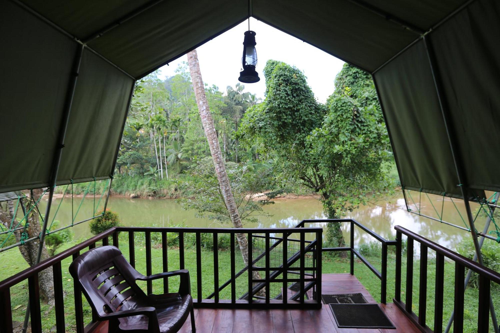 360 Rainforest เดนิยายา ภายนอก รูปภาพ