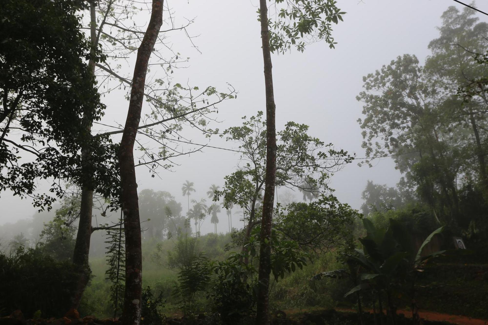 360 Rainforest เดนิยายา ภายนอก รูปภาพ