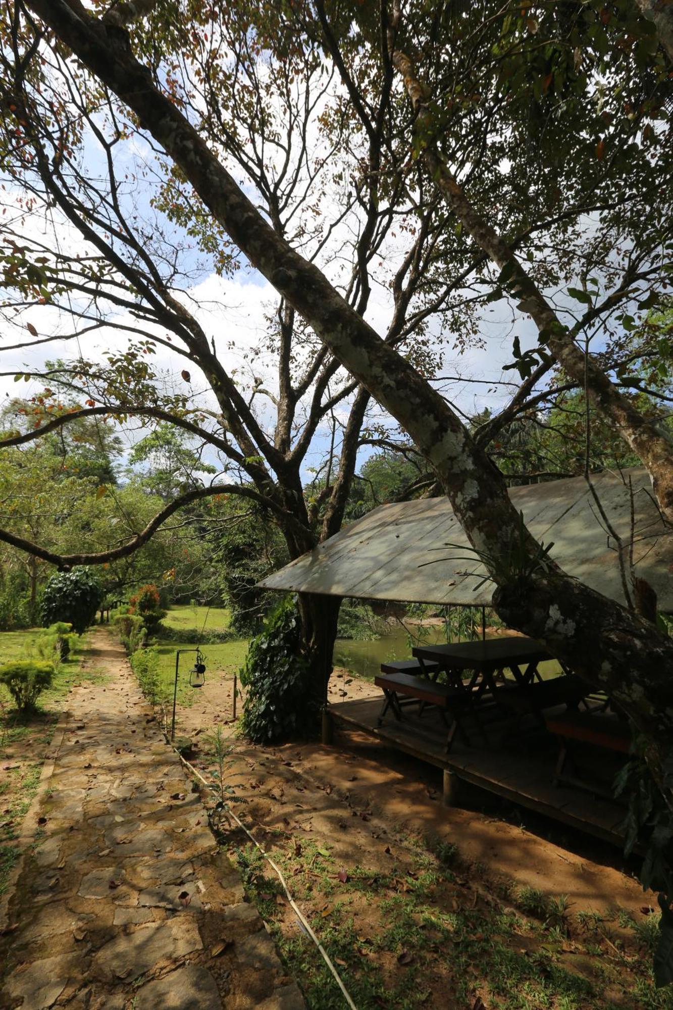 360 Rainforest เดนิยายา ภายนอก รูปภาพ