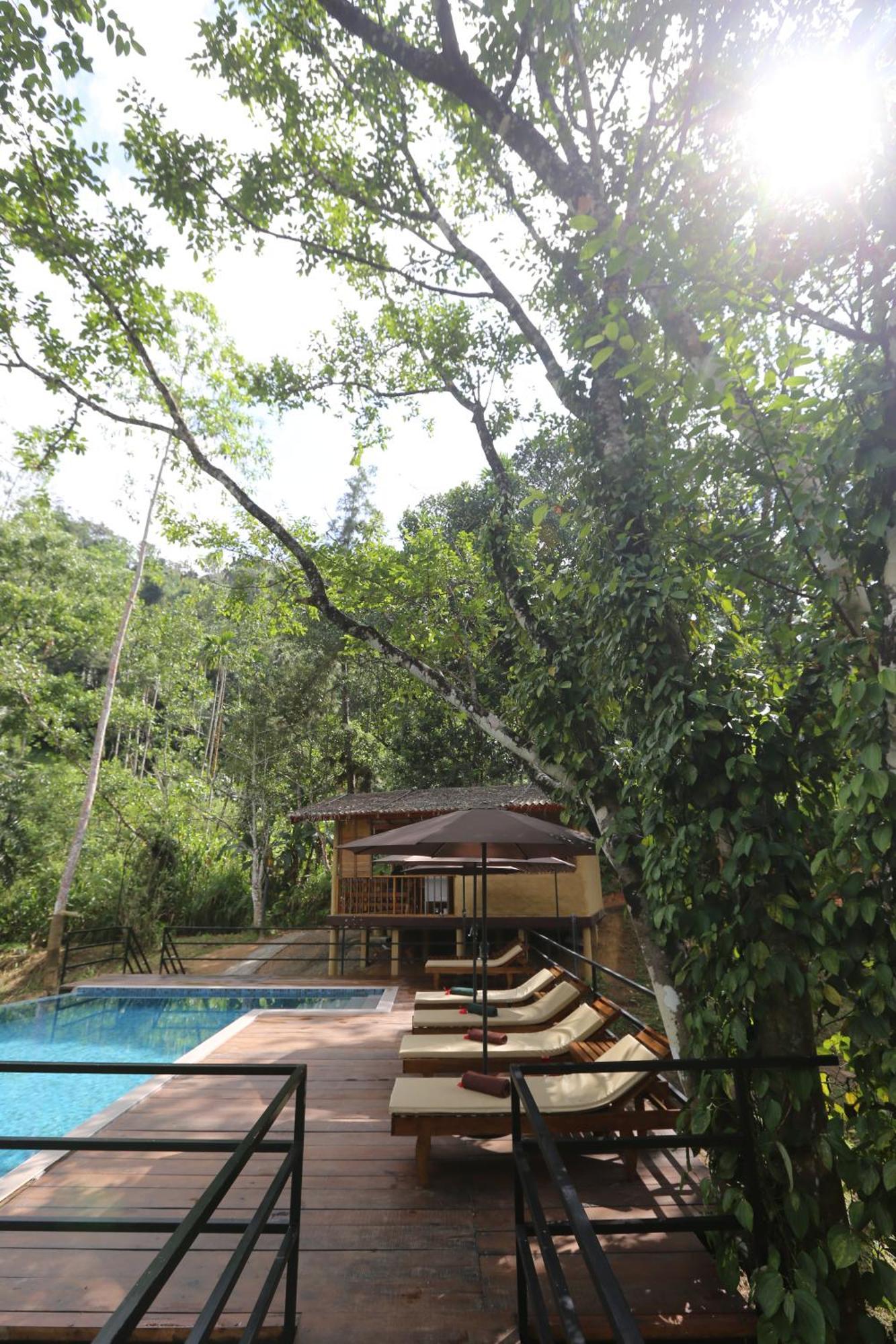 360 Rainforest เดนิยายา ภายนอก รูปภาพ