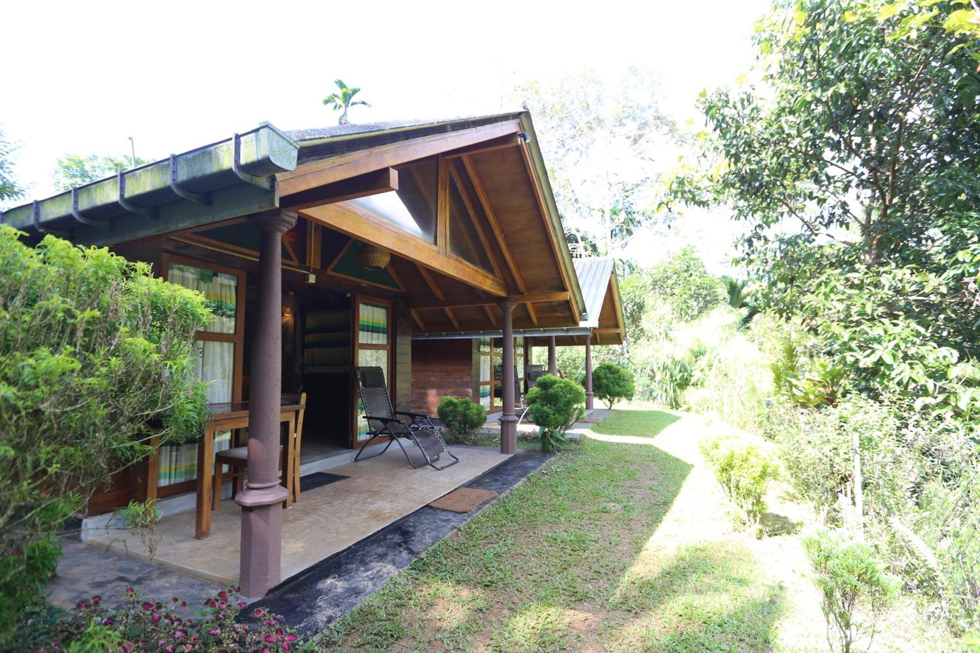 360 Rainforest เดนิยายา ภายนอก รูปภาพ