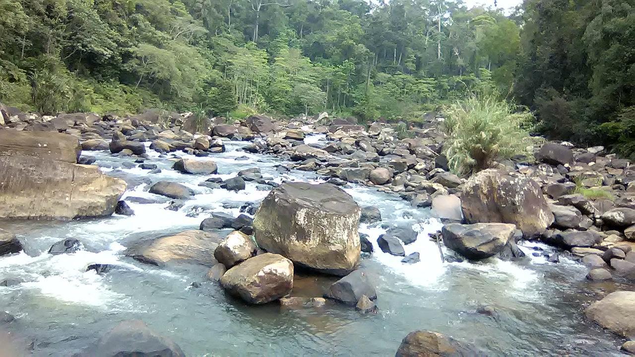 360 Rainforest เดนิยายา ภายนอก รูปภาพ
