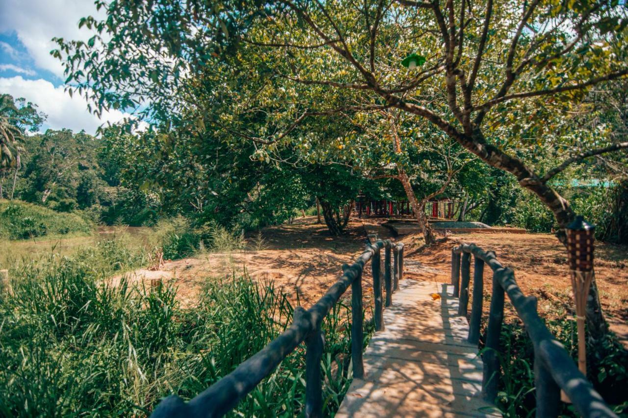 360 Rainforest เดนิยายา ภายนอก รูปภาพ