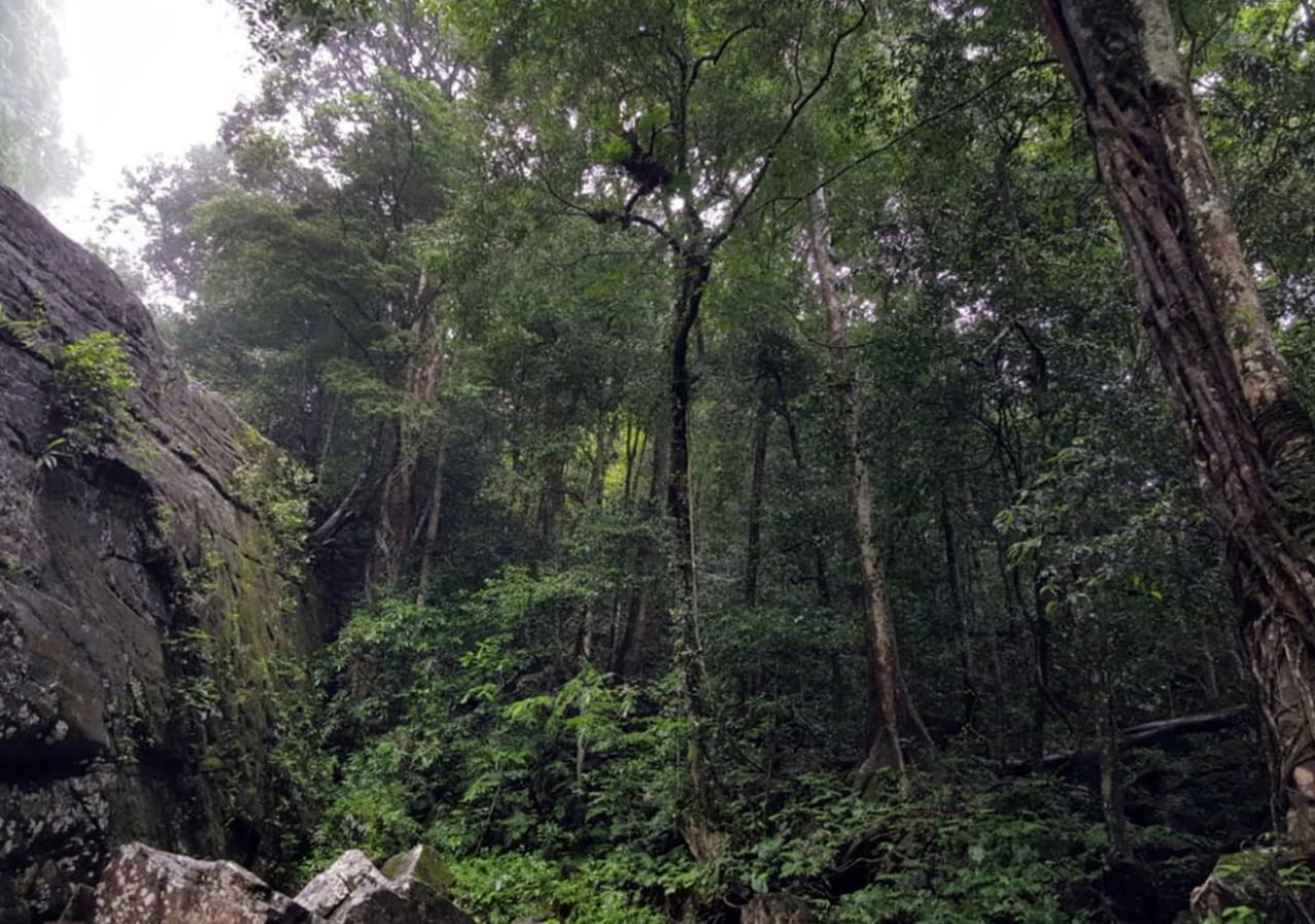 360 Rainforest เดนิยายา ภายนอก รูปภาพ