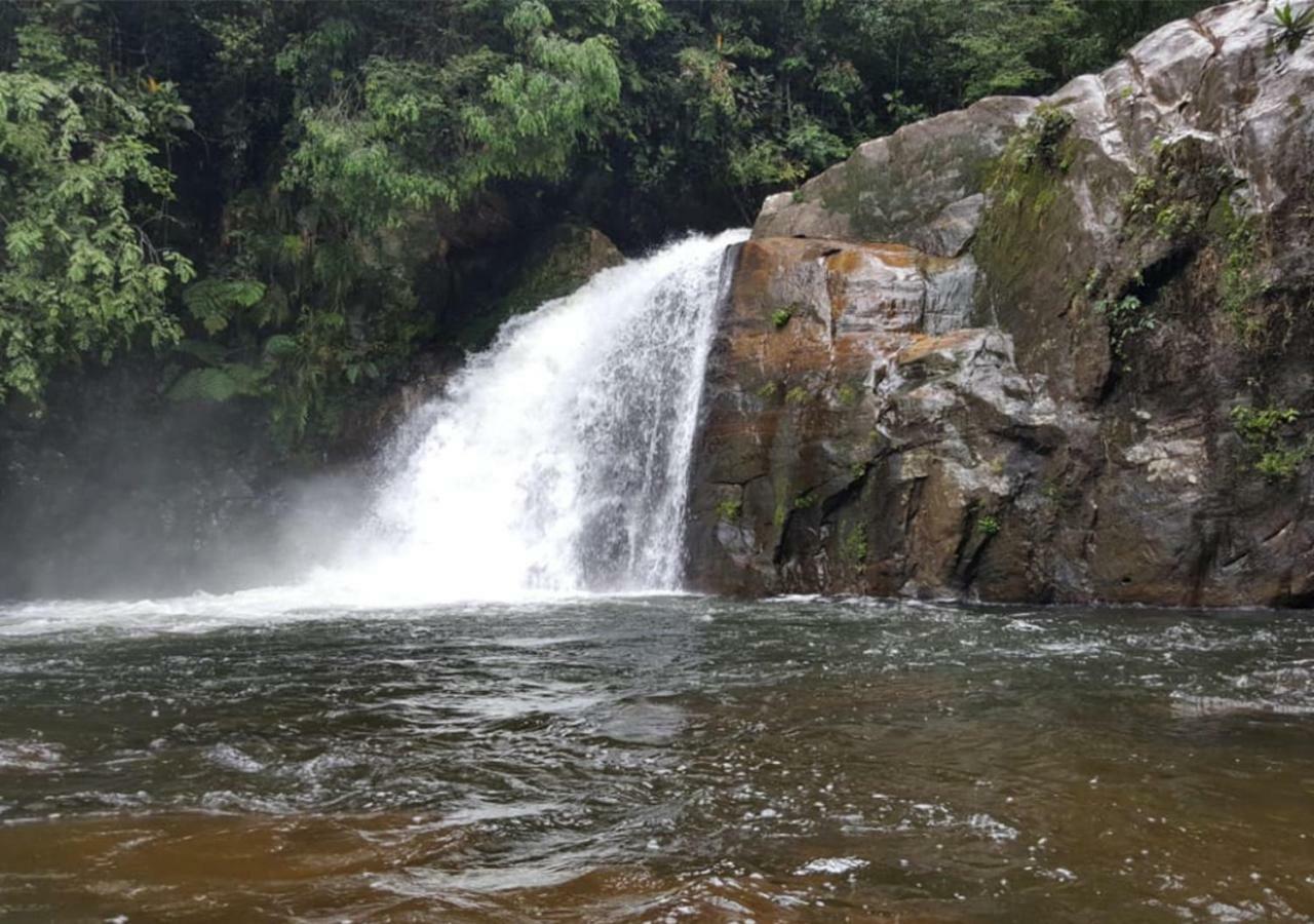 360 Rainforest เดนิยายา ภายนอก รูปภาพ