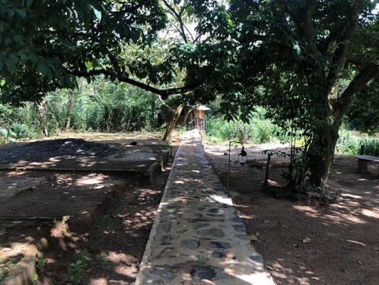 360 Rainforest เดนิยายา ภายนอก รูปภาพ