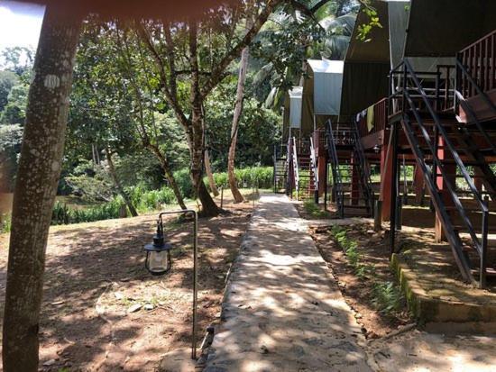 360 Rainforest เดนิยายา ภายนอก รูปภาพ