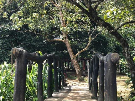 360 Rainforest เดนิยายา ภายนอก รูปภาพ