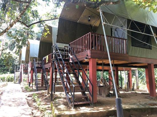 360 Rainforest เดนิยายา ภายนอก รูปภาพ