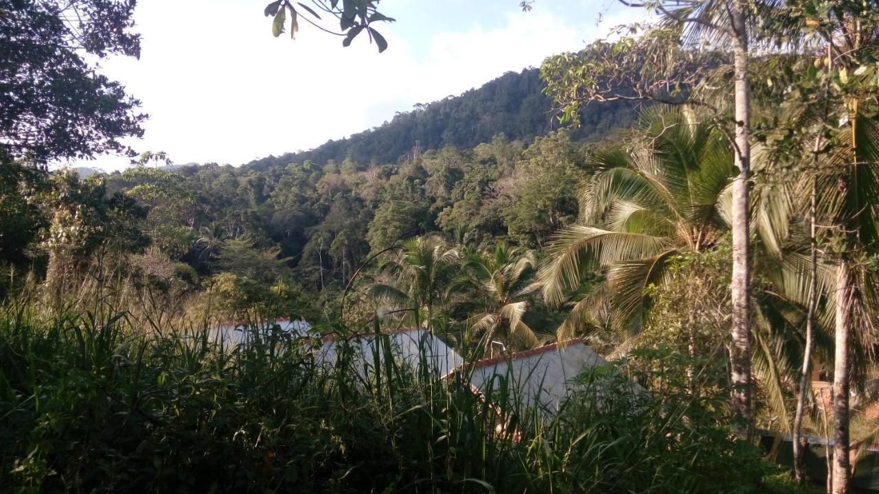 360 Rainforest เดนิยายา ภายนอก รูปภาพ