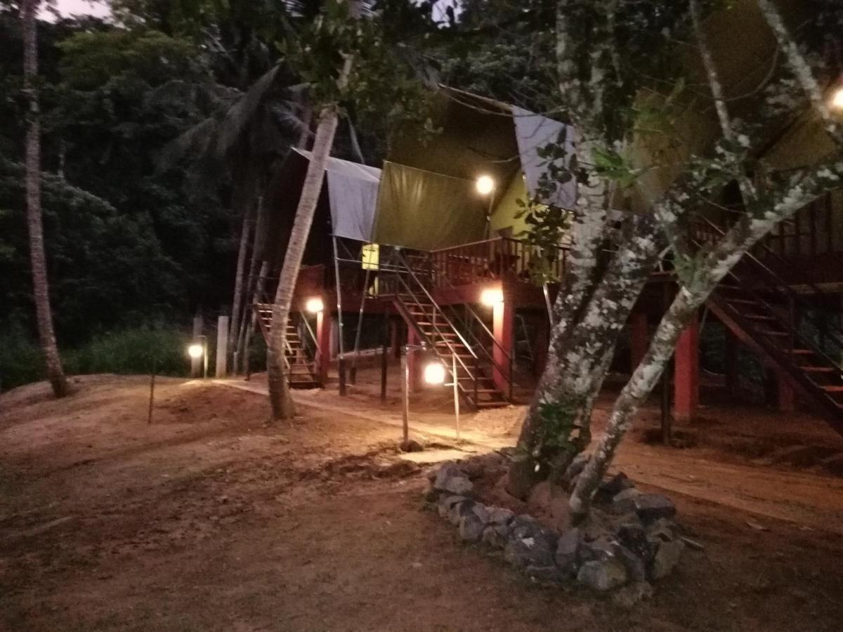 360 Rainforest เดนิยายา ภายนอก รูปภาพ